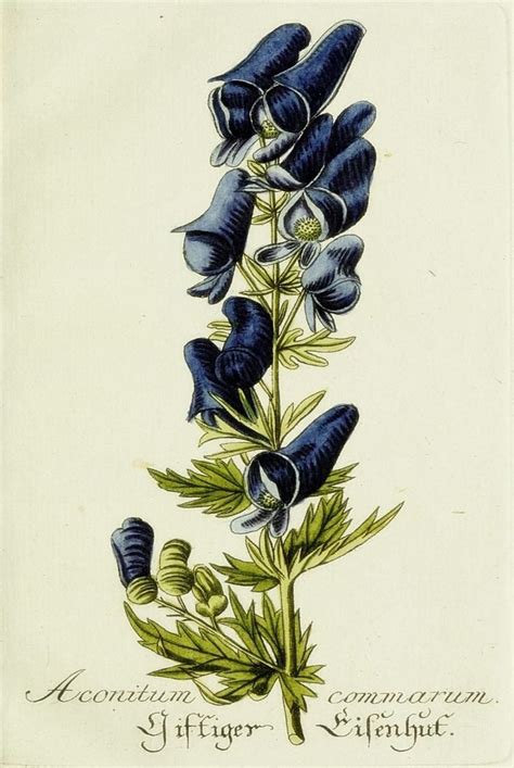 Blue Botanical Image Pixels Botanical Art