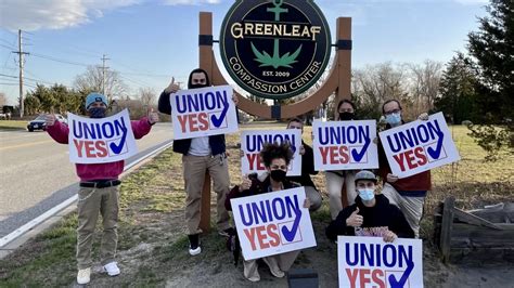 Greenleaf Cannabis Dispensary Workers Make History by Unionizing