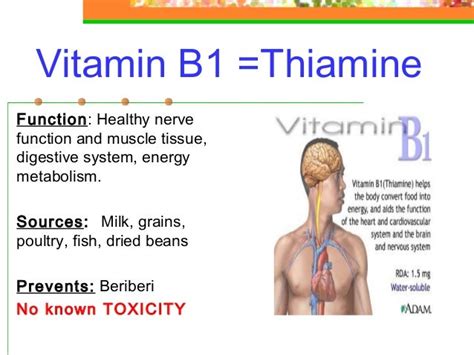 Fn1 Ppt Vitamins And Minerals