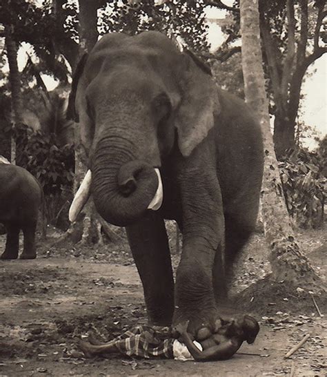 Most Brutal Execution Methods 6 Execution By Elephant