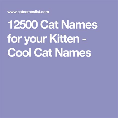 Cool Names For Girl Cats