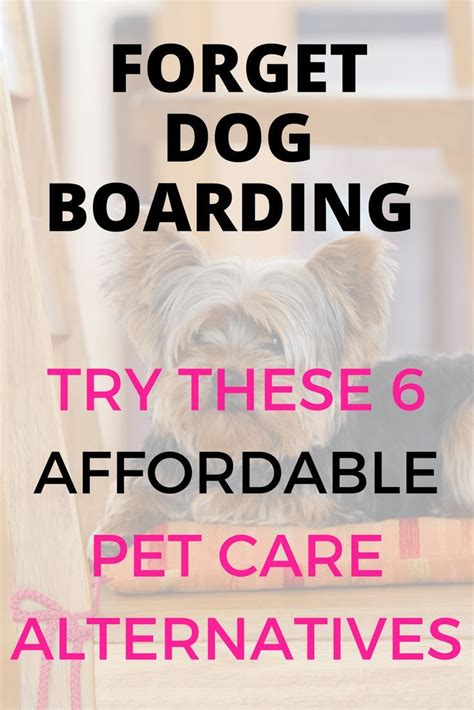 You can see how to get to affordable pet vet clinic on our website. Forget dog boarding when it comes to affordable pet care ...