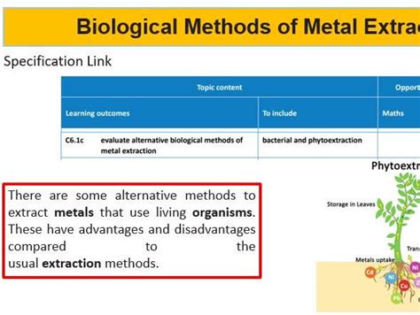 Biological Methods Of Metal Extraction Phytoextraction Bioleaching