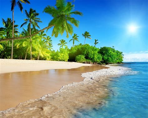Beach Tropical Island 2017 High Quality Wallpaper Preview