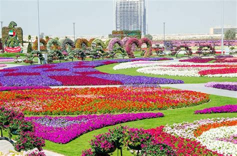 15 Photos Of The Wonderfully Bizarre Dubai Miracle Garden That Is Built