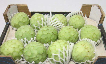 What does a cherimoya fruit taste like? Cherimoya - Assortment - Special Fruit