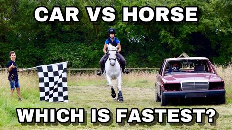 Car Vs Horse Which Is Fastest Youtube