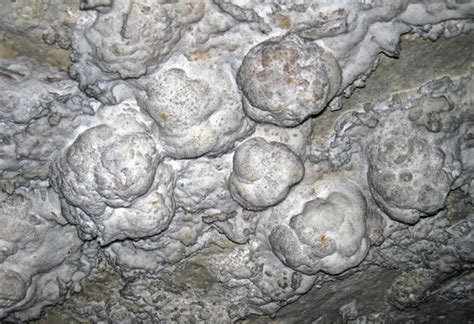 Gypsum Snowballs Snowball Dining Room Mammoth Cave Kent Flickr