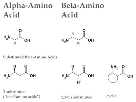 Beta2 Amino Acids Synthesis Approaches And Compounds Chiroblock