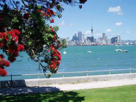 1 Great Day In Auckland City Highlights Premium Experience Private