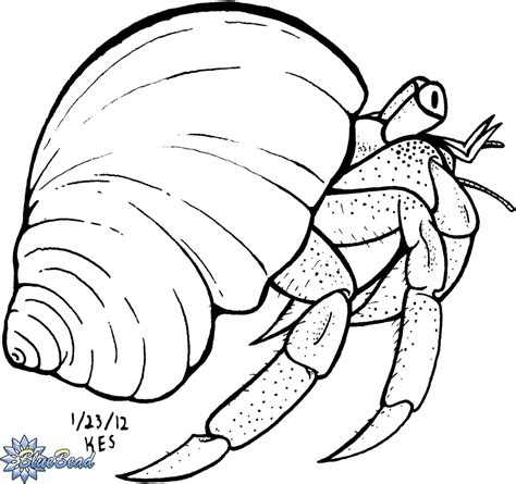 Print out the ocean creatures from 3 dinsosaurs. .:Hermit Crab:. by BlueBead on DeviantArt