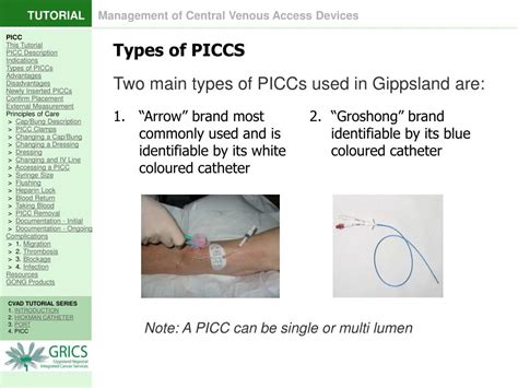 Ppt 4 Peripherally Inserted Central Catheter Picc Powerpoint