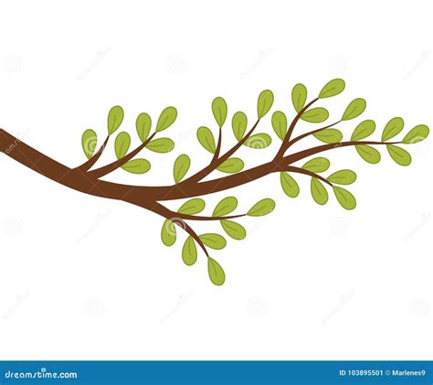 Rama De árbol Del Vector Con Las Hojas Verdes Ilustración del Vector