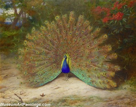 Famous Peacock Paintings Just From Town