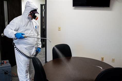 When selecting a pest control service, cost should not be the only factor that determines the company you pick. Business Disinfecting for Coronavirus | Catseye Pest Control