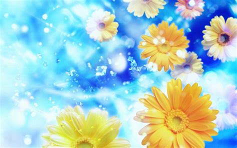 Free Download Blue Background Yellow Flowers Hd Wallpapers Yellow
