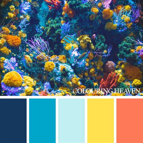 How To Choose A Colour Scheme For Colouring Colouring Heaven