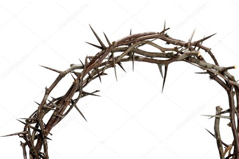 Crown Of Thorns Stock Photo By ©ginosphotos1 122819718