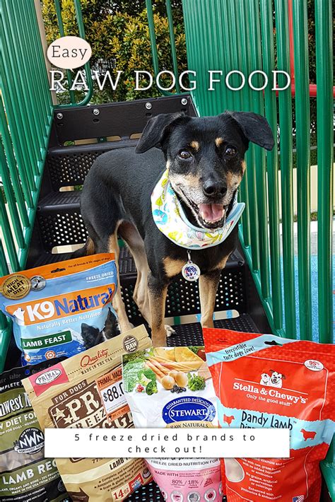 We did not find results for: Easy raw dog food review - Primal, Northwest, Stewart ...