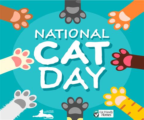 National Cat Day Wishes Images Whatsapp Images