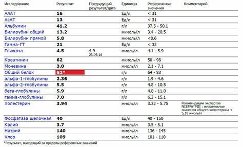 Какая Диета При Повышенном Алт И Аст — Похудение Диета Правильное Питание Картинка - Какая Диета При Повышенном Алт И Аст — Похудение Диета Правильное Питание