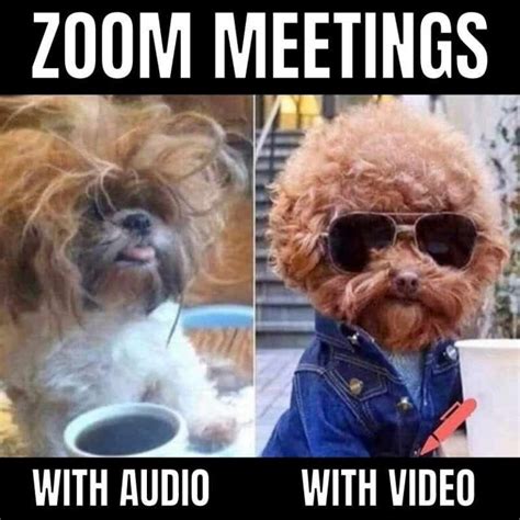 39 Funny Meetings Memes For Anyone Experiencing Zoom Fatigue