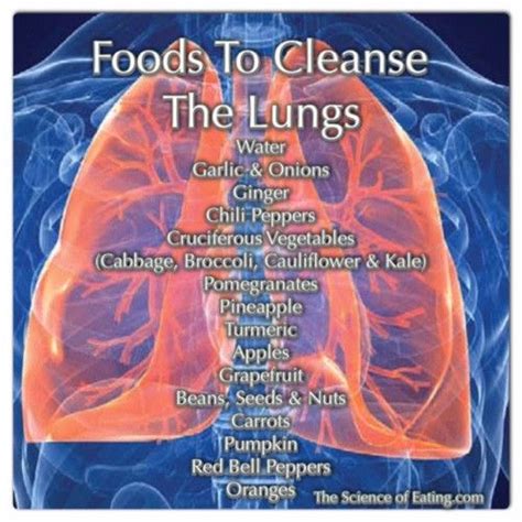 Smoking anything is usually bad for your lungs to some degree, just as spending a day in a city is usually worse for them than having a picnic on a nice clean mountain slope surrounded by daisy fields. Foods To Help Health Issues | The Science Of Eating ...