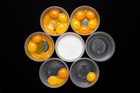 I frequently find myself looking for recipes that use a lot of eggs. Do I Need to Use Eggs in Ice Cream (and How Many?) | Serious Eats