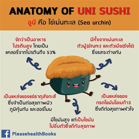 Anatomy Of Uni Sushi อูนิ หรือ ไข่เม่นทะเล