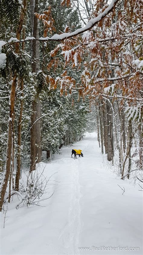 Why I Love Northern Michigan Winters And Why You Should Too Petoskey