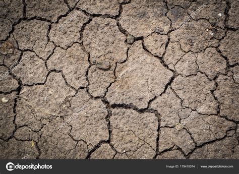 Dried Cracked Earth Soil Ground Texture Backgroundcrack Soil On