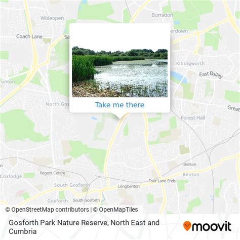 How To Get To Gosforth Park Nature Reserve In Newcastle Upon Tyne By