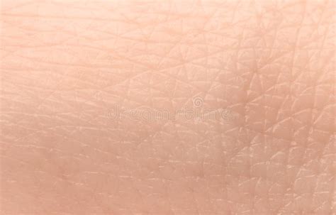 Texture Of Human Skin Closeup Stock Photo Image Of Medicine People