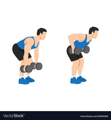 Man Doing Dumbbell Bent Over Rows Exercise Vector Image
