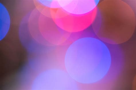 Free Images Creative Light Abstract Purple Petal Color Blue