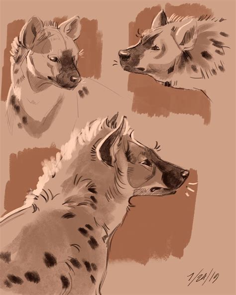 Hyena Furry Drawing 35 Images Result Koltelo
