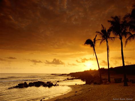 Free Download Beach Sunset Wallpaper 1152x864 For Your Desktop