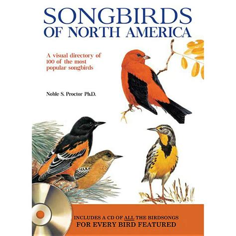 Songbirds Of North America A Visual Directory Of 100 Of The Most