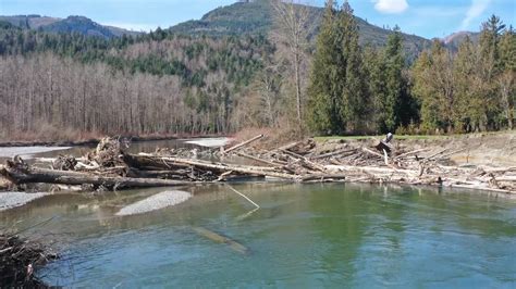 Watch Out For This Logjam On The South Fork Of The Nooksack River