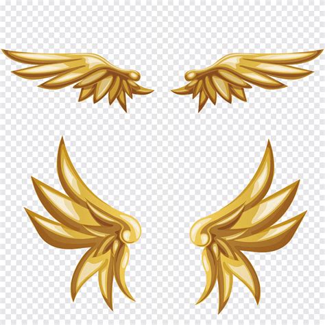 Gold Wings Illustration Buffalo Wing Angel Wings Chicken Wings