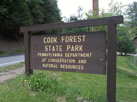 Cook Forest And The Swinging Bridge Pennsylvania Wilds