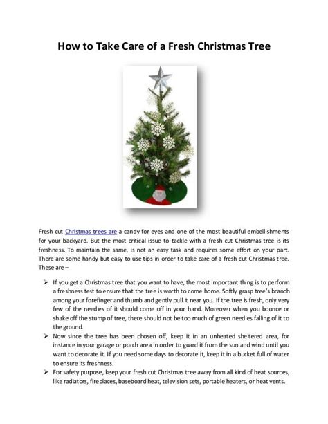 How To Take Care Of A Fresh Christmas Tree