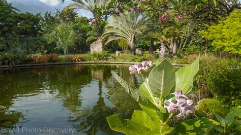 Vignette is the result of three childhood friends who always find. Visiting Miami - Miami Beach Botanical Garden
