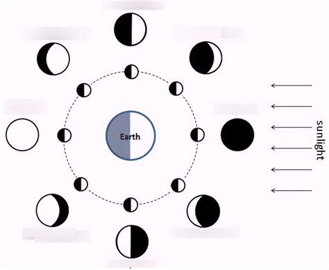 Moon Phases Diagram Quizlet