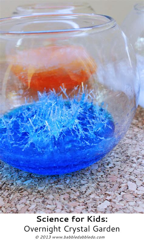 Overnight Crystals Fun Science Science For Kids Kid Experiments