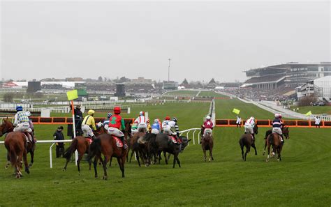 Cheltenham 2019 Day 3 Race Card Tomorrows Races Tips Results