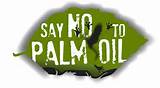 Photos of About Palm Oil