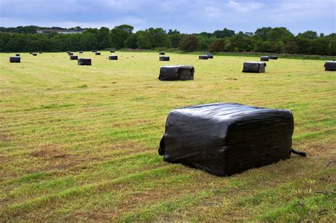 Straw Bales Free Stock Photo Public Domain Pictures