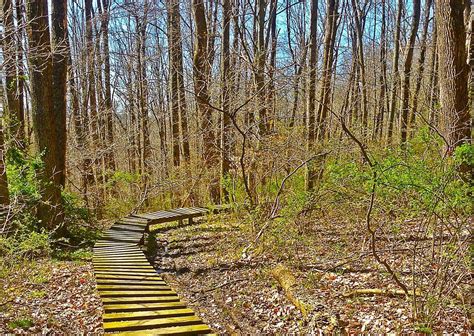 10 Of The Easiest Hiking Trails In Ohio With Beautiful Scenery