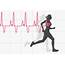 Heart Rate Training  The Running Center